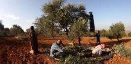 08146403400124794420866877605273