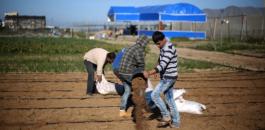 معدل البطالة في صفوف الشباب بغزة تجاوز 60%