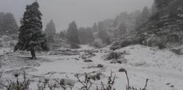 الثلوج تغطي جبال لبنان لأول مرة هذا الموسم والحرارة تلامس الصفر