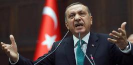 أردوغان: الاستقرار في العالم يمر عبر قيام دولة فلسطينة مستقلة
