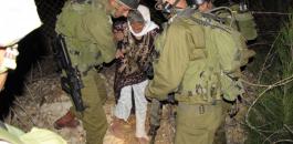 قوة إسرائيلية تقتحم الأراضي اللبنانية وتحاول اختطاف راعي أغنام