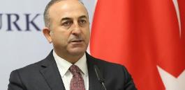 وزير الخارجية التركي: سنشجع الدول المترددة بالاعتراف بدولة فلسطين