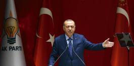 اردوغان والاستثمار في تركيا 