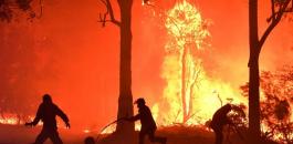 استراليا والحرائق 