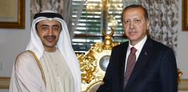 الاستثمارات التركية الاماراتية 