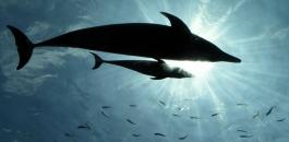 1045326945_0_210_3317_2004_1000x541_80_0_0_cce17f41c65056b772b4b9e836b42dfb