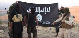 مقتل عناصر من داعش في سيناء 