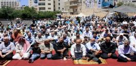 image_750x_5d5fe9acb352e