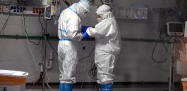 فيروس كورونا في مفاعل ديمونا 