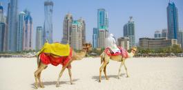 السياحة في دبي 