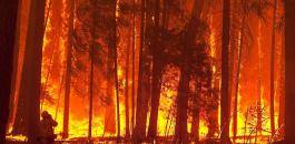 حريق غابات في أميركا 