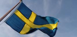 fredrik+broman-flag+of+sweden-287