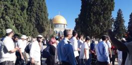 اسرائيل والمسجد الأقصى 