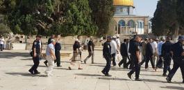 Israeli-settlers-storm-Al-Aqsa-Mosque-on-13-July-20171764252518