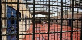 35ddf4f5-7a57-49c9-80b8-7c7c1ef699e3