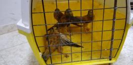 a05a5a82-38e7-4e49-a8c6-983888eace4e