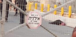 71146588_3182152055192546_6624754146593472512_n