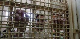 الاسرى المضربين في السجون الاسرائيلية 
