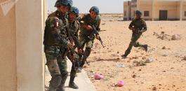 الجيش المصري يدمر سيارات محملة بالأسلحة عبر الحدود الغربية