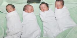 bébés-620x330