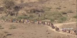 71591765_3219792824761802_1053966819611639808_n