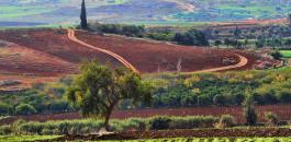 10906259_738350862906023_6261091163735479235_n