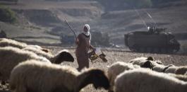 قوات الاحتلال تصادر مئات الدونمات في وادي المالح بالاغوار 