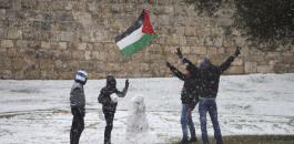 الثلوج في فلسطين 