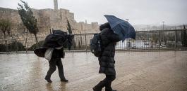 الامطار في فلسطين