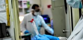 كورونا غزة.jpeg