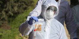 وزيرة الصثحة.jpg