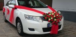 rent a car (8)_0.jpg