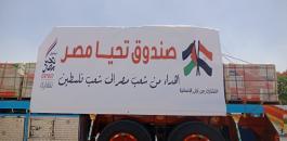 صندوق تحيا مصر وغزة
