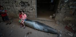 الصحة العراقية.jpg