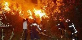 حرائق في الجزائر