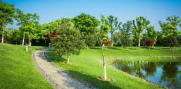 371039433_3275964996026904_3978642778833352235_n (1).jpg