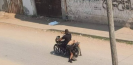 التقاط.PNG