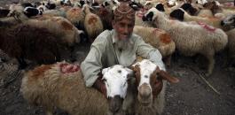 APTOPIX-Pakistan-Eid-al-Adha.jpg