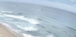 Hygd9bo2yel_0_0_1280_720_0_x-large.jpg