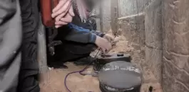شسيسي2-1714464728.webp