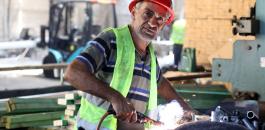 gaza-agriculture-palestine-greenhouses-family-farms-abdulrahman-0S3A6476-EDIT.jpg