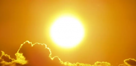 لقطة الشاشة 2026-05-17 094149.png