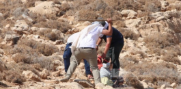 Settlers-volunteer-678x455.png