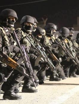 1463076_10151848673898983_823808556_n