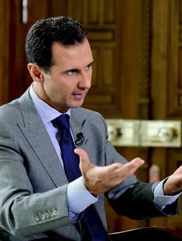 حلب والاسد 