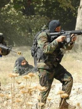 e0dab7f8-1704-490d-9254-3ee84df4d52d_16x9_600x338