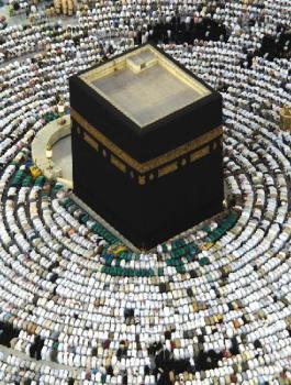 موسم الحج وقطر 