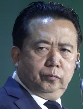 اعتقال مدير الانتربول 