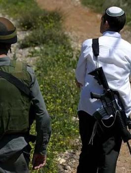 مستوطن يدهس فلسطينيا في الخليل 
