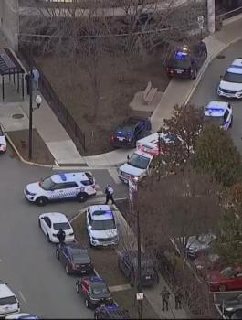 قتلى في شيكاغو 